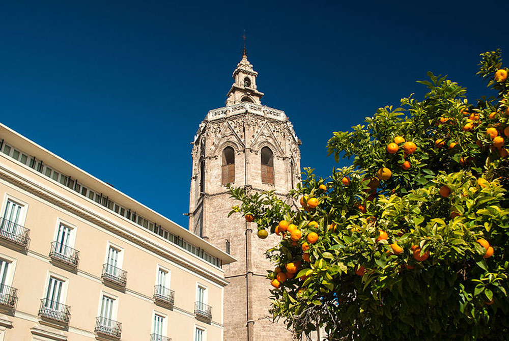 alta vivienda turística valencia